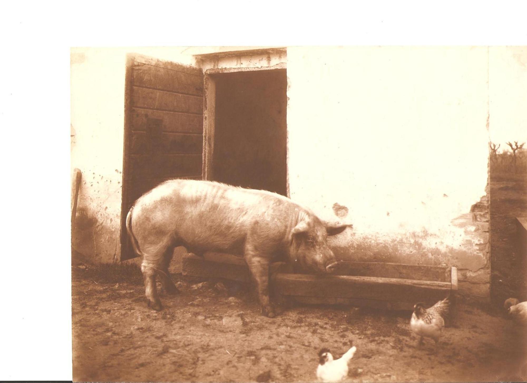Tenuta La Fratta Sinalunga Buitenkant foto