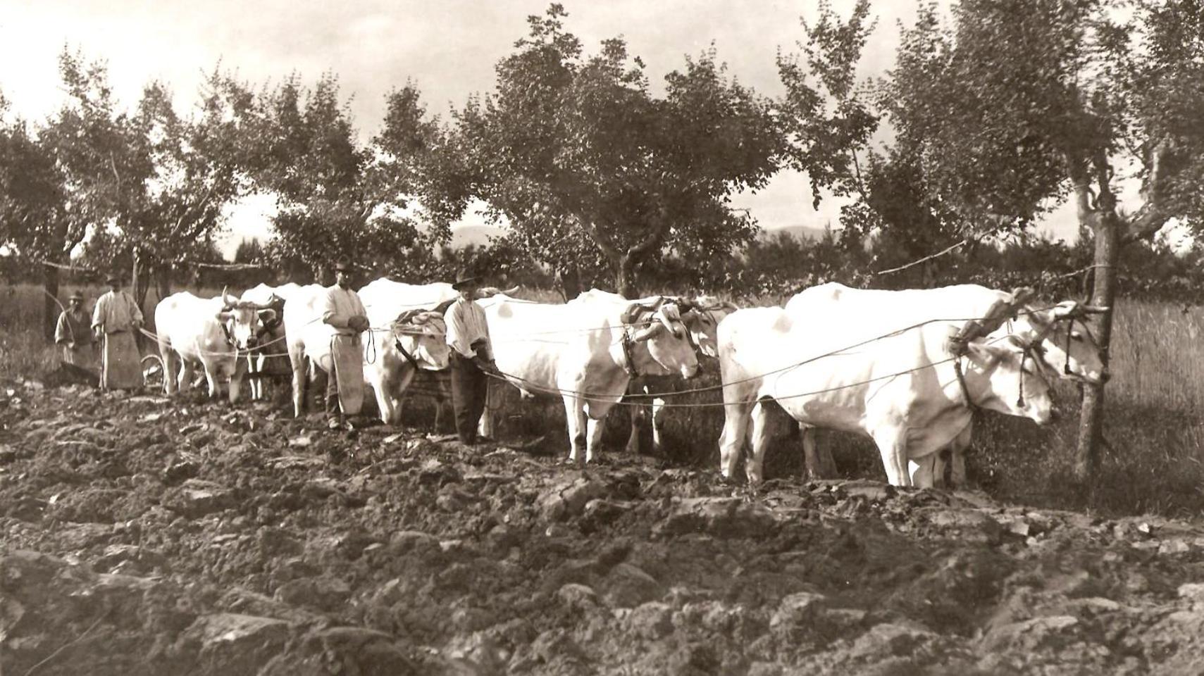 Tenuta La Fratta Sinalunga Buitenkant foto