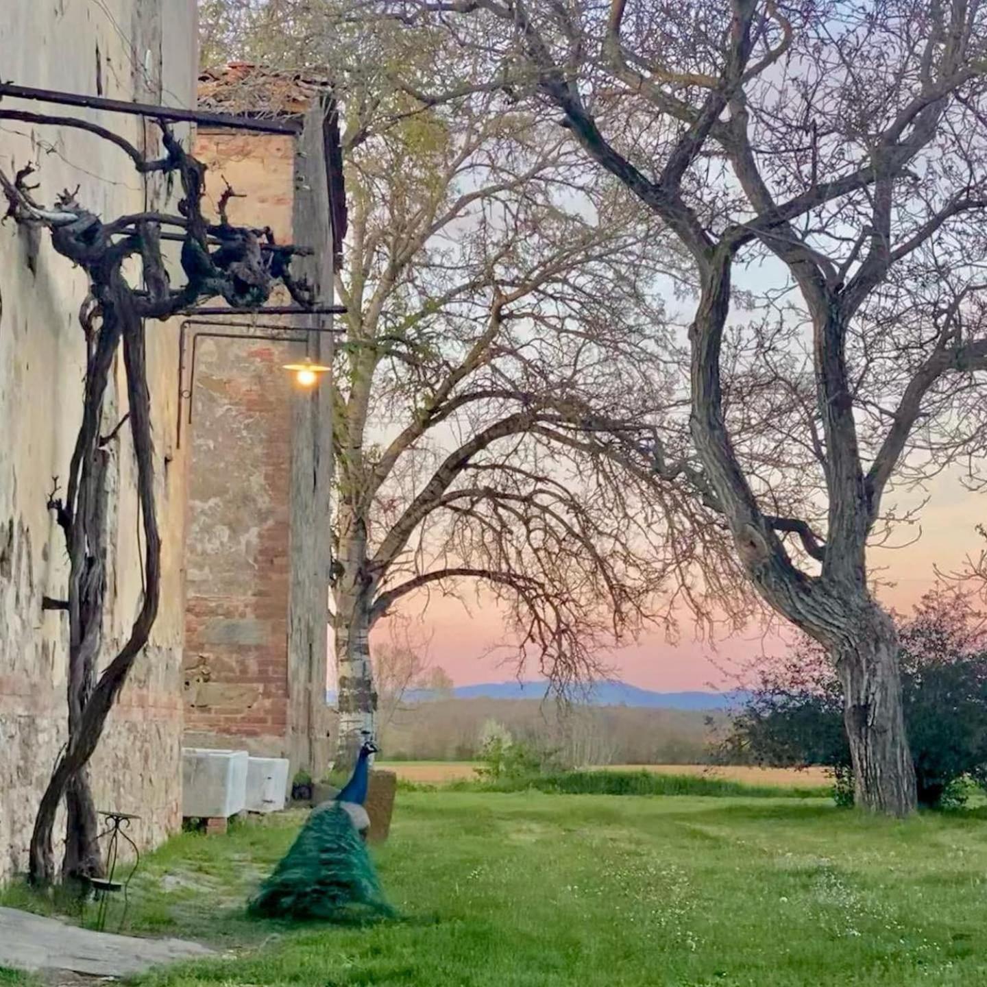 Tenuta La Fratta Sinalunga Buitenkant foto