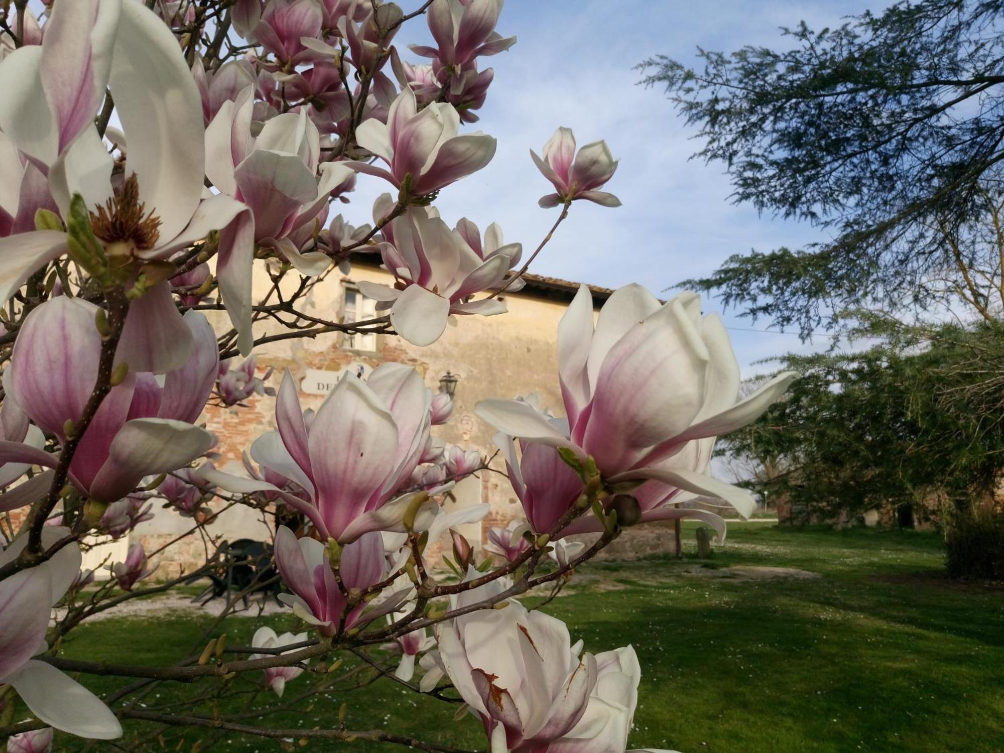 Tenuta La Fratta Sinalunga Buitenkant foto