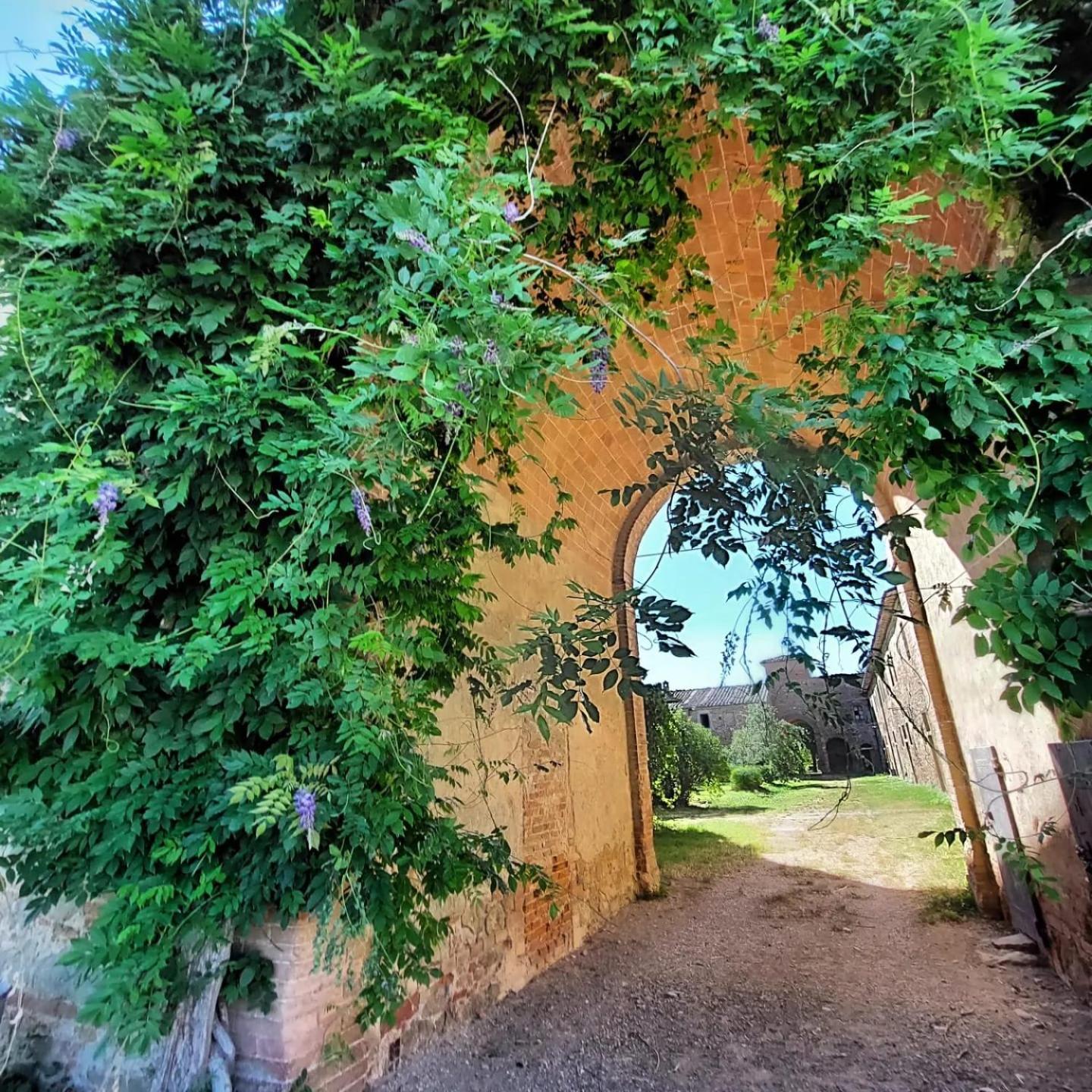 Tenuta La Fratta Sinalunga Buitenkant foto